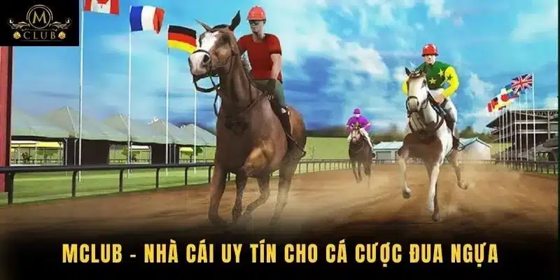 Mclub - Nhà Cái Uy Tín Cho Cá Cược Đua Ngựa