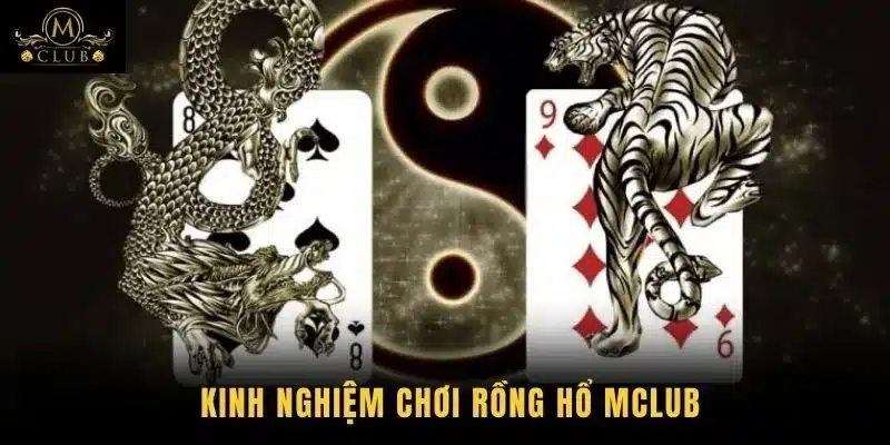 Kinh nghiệm chơi Rồng hổ MClub